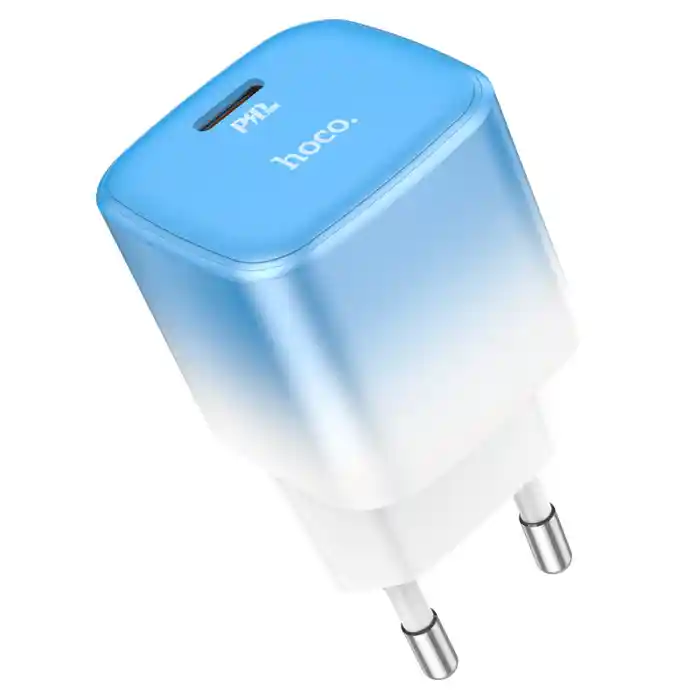 Hoco C101A Charger Adapter with Type C to Type C Cable